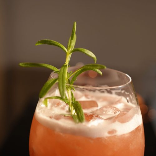 Rosemary Apricut - Abrikos Ziropa